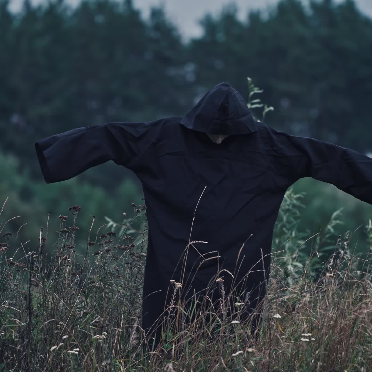 Mysterious Hooded Figure in a Dark Field