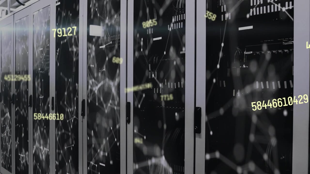 Animation of network of connections over data processing and computer servers
