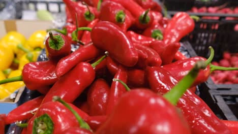 Closeup of Starfruits and Red Chili Peppers Exotic Tropical Fruits at Food Market Closeup of Starfruits and Red Chili Peppers Exotic Tropical Fruits at Food Market