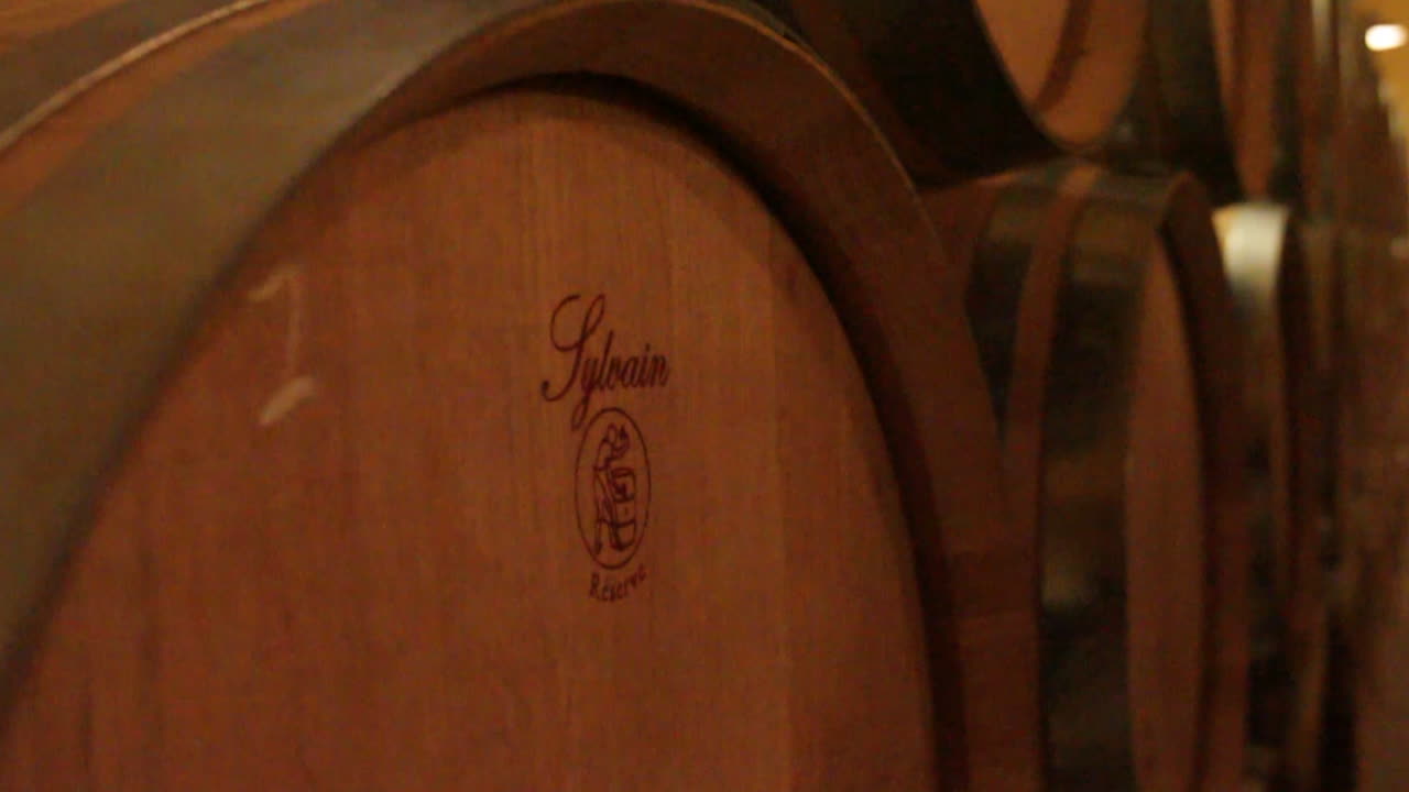 barriles de vino en una bodega