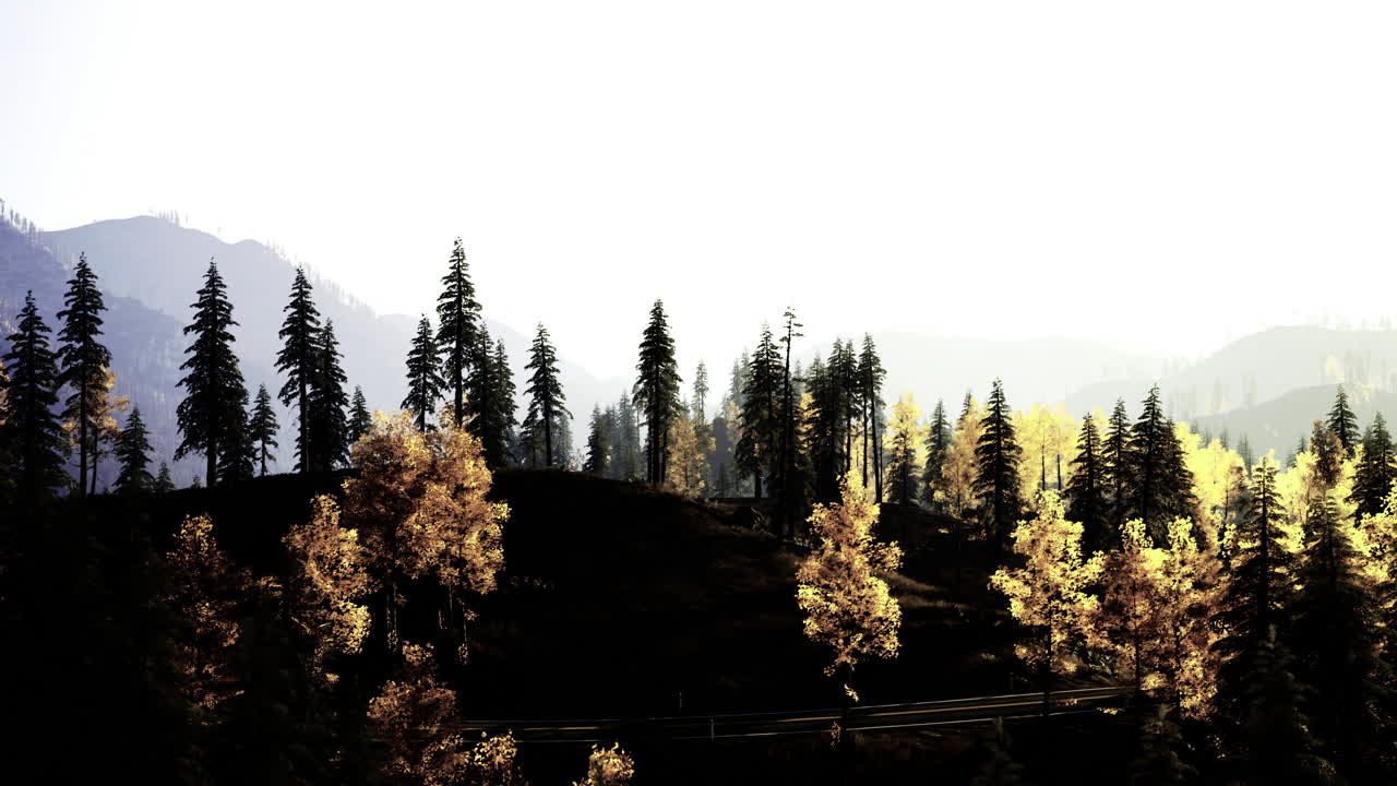 Golden autumn leaves gleam amidst tall pines in a serene mountain landscape