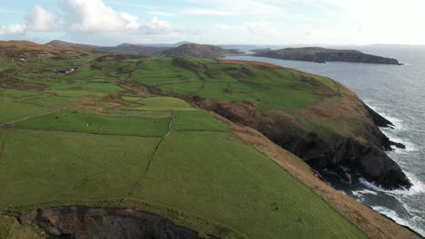 Vista-Aérea-De-Asombrosos-Campos-Verdes-Costeros-En-El-Sur-De-Irlanda,-Prados-Y-Animales-Sobre-Acantilados-Escarpados-Y-Océano-Atlántico,-Disparo-De-Drones