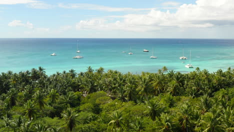 Tropische-Karibische-Palmenküste-Von-Isla-Saona-Mit-Yachten-Und-Katamaranen