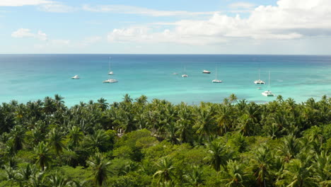 tropical caribbean palm coast of isla saona with yachts and catamarans