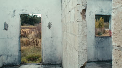 abandoned-roofless-cement-structure-in-a-field-of-serrated-tussock-grass-static-detail-shot