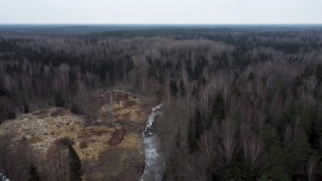 vista aérea de drones de un espeso bosque a finales de otoño con un río congelado atravesándolo