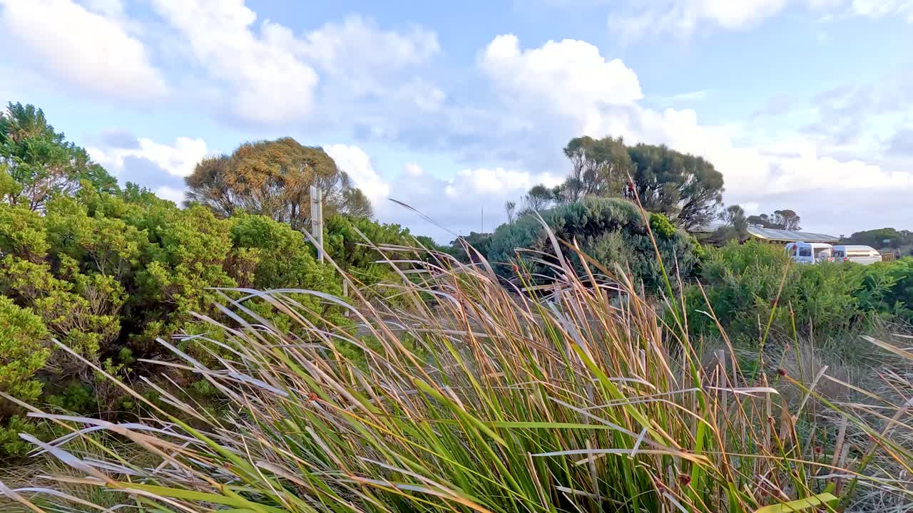 la hierba exuberante se balancea suavemente en la brisa a lo largo de la pintoresca carretera del gran océano, bajo un cielo brillante y parcialmente nublado.