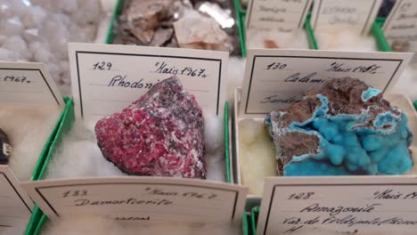 collection of rocks and minerals 06