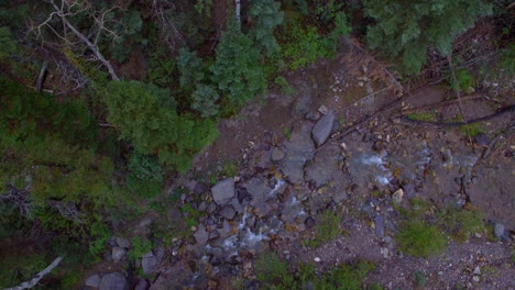 Overhead-downward-looking-drone-shot-over-a-flowing-creek-and-green-trees