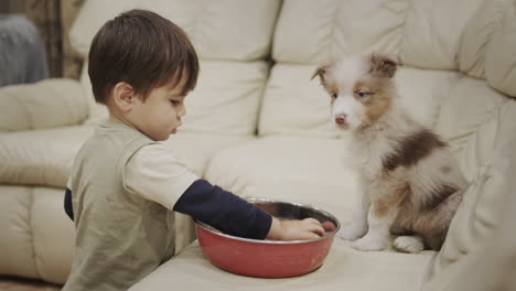 a caring boy of two years feeds his wife on the couch in the living room. funny videos with children and animals