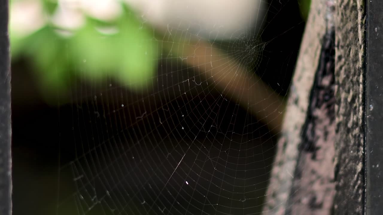 Ragnatela tra sbarre di metallo in giardino