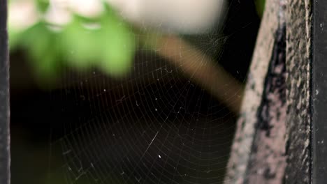 red de araña entre barras de metal en el jardín
