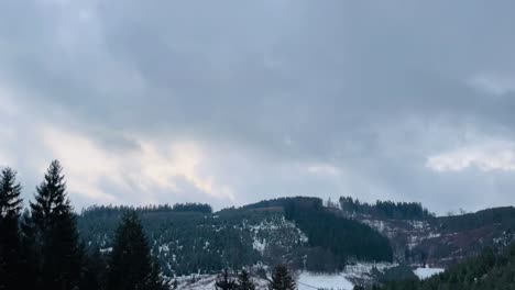 Weite-Winterliche-Landschaft-Mit-Hügeln-Und-Tannenbäumen-Und-Schnee-Und-Einem-Hängenden-Himmel