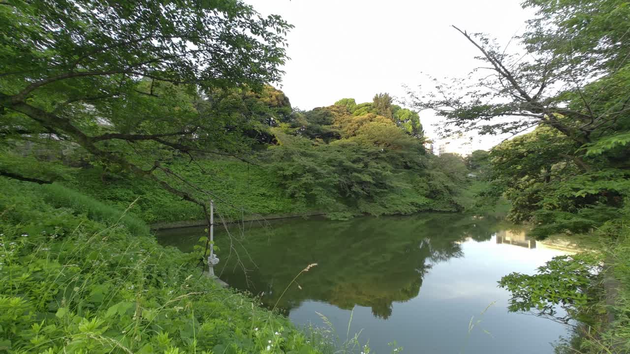 도쿄 치도리가푸치 (tokyo chidorigafuchi) 2022년