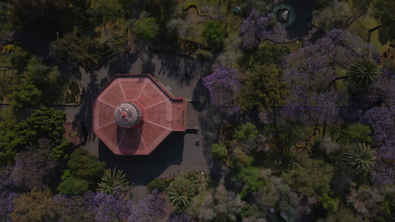 vista aérea la gente hace ejercicio hace deportes se relaja camina en el parque por la calle con coches conduciendo en el día de primavera