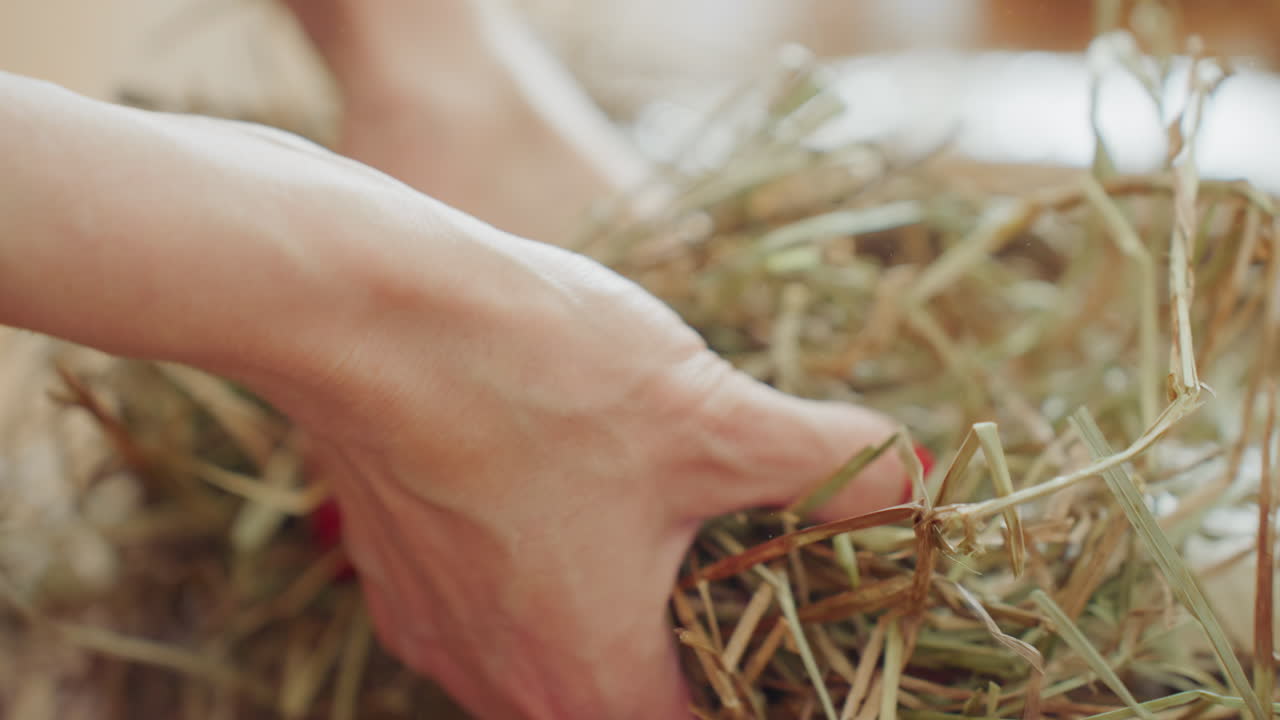 Decorator pressing dried hay with hands during wreath crafting, focusing on manual arrangement and natural texture, showing close-up detail of handmade seasonal decoration process with creativity