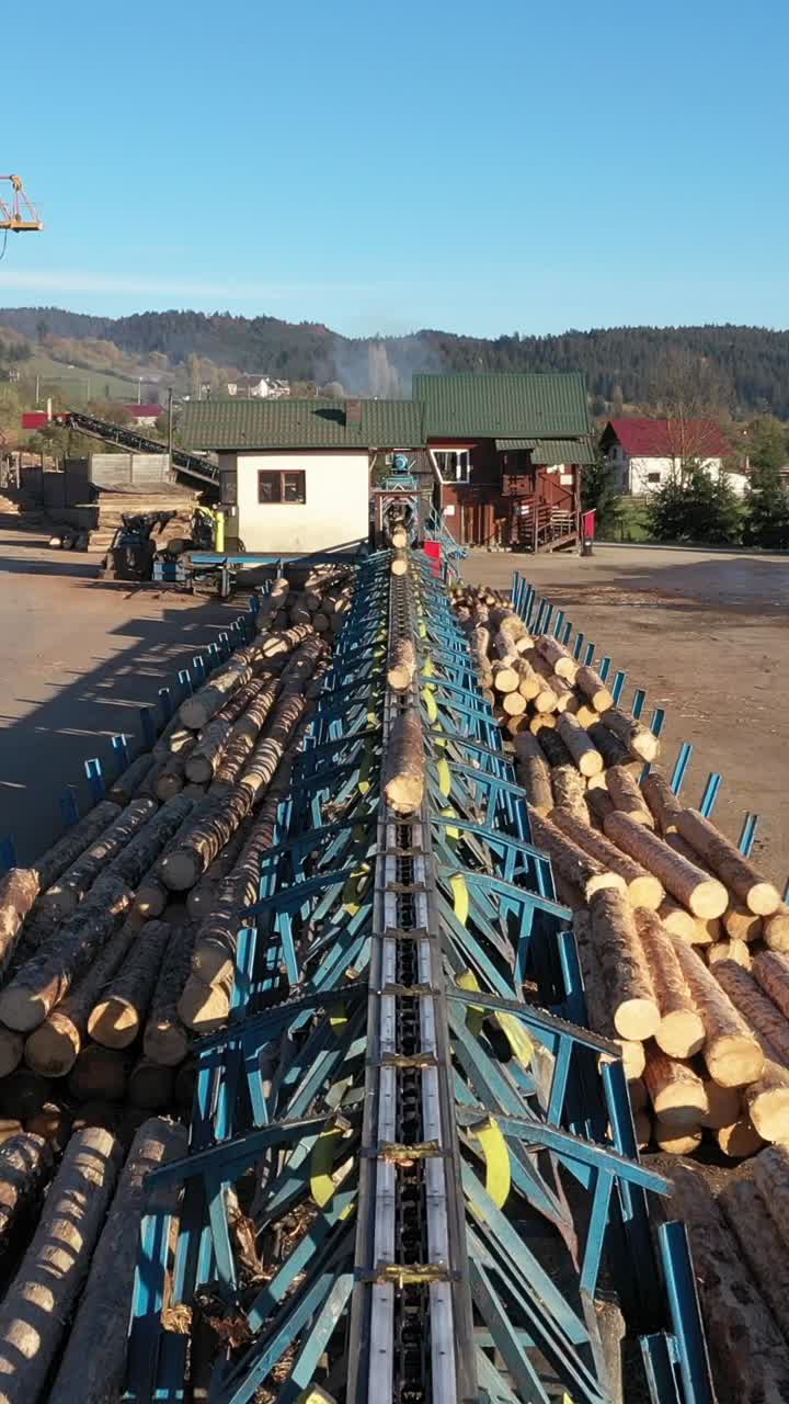 Vertical shot: Automated machinery at a sawmill sorts raw timber logs. A mechanical arm pushes wood onto a conveyor, showing the modern timber industry's efficiency