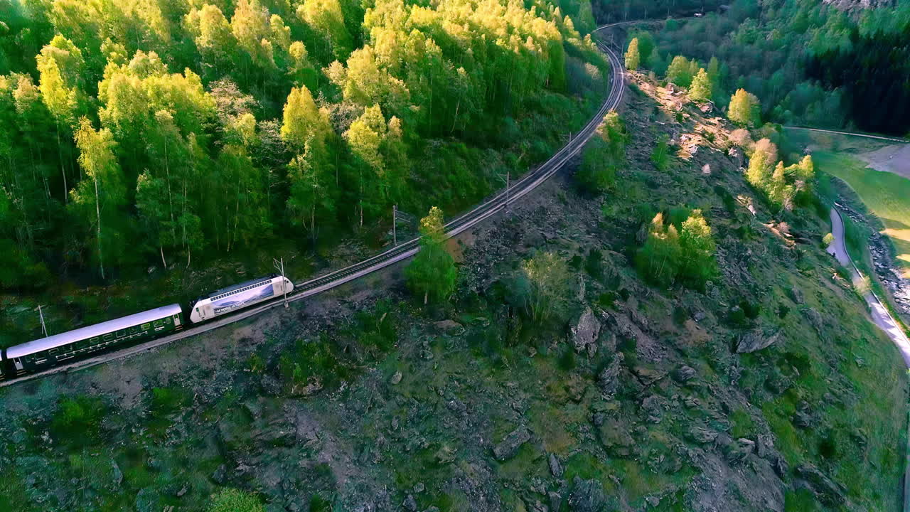 tren que viaja a lo largo del ferrocarril en la ladera de la montaña con bosque verde en verano