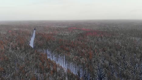 Weihnachtsbaum-Im-Schönen-Wintertag_-Snow_tree_winter_coldwinter_beautifulwinter_droneshots