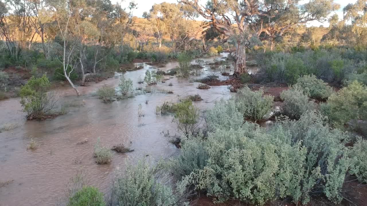 árboles de pie en las aguas de inundación rápida de un arroyo inundado 2