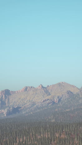 stunning mountain range and forest landscape