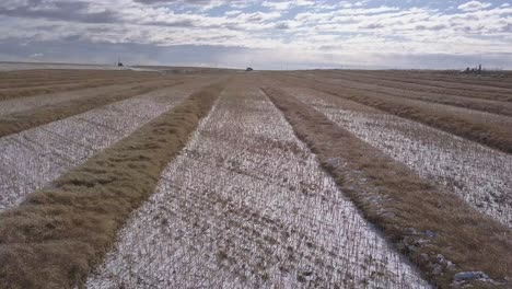 aérea: nubes dramáticas, horizonte y filas ordenadas de franjas de trigo nevadas