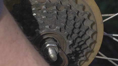 el hombre gira la tuerca del eje de la rueda de bicicleta