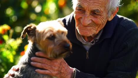 a heartwarming moment of connection: an elderly man cherishing his beloved dog in a joyful, sunlit garden