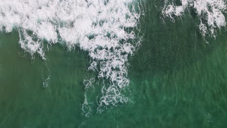 escuelas de peces nadan entre las olas de una popular playa de surf turística.
