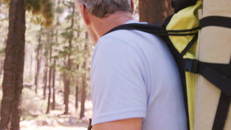 hiker couple walking through forest