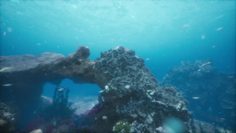 stunning underwater coral reef scene