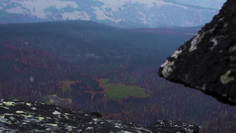 a wide shot of the wilderness in british columbia in winter