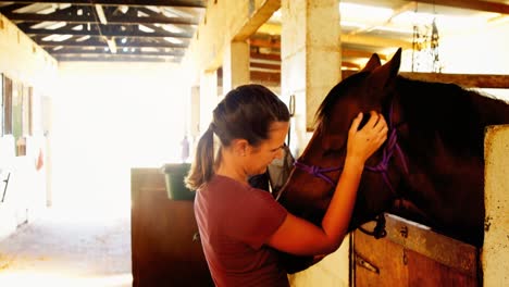 Woman-caressing-the-brown-horse-in-the-ranch-4k