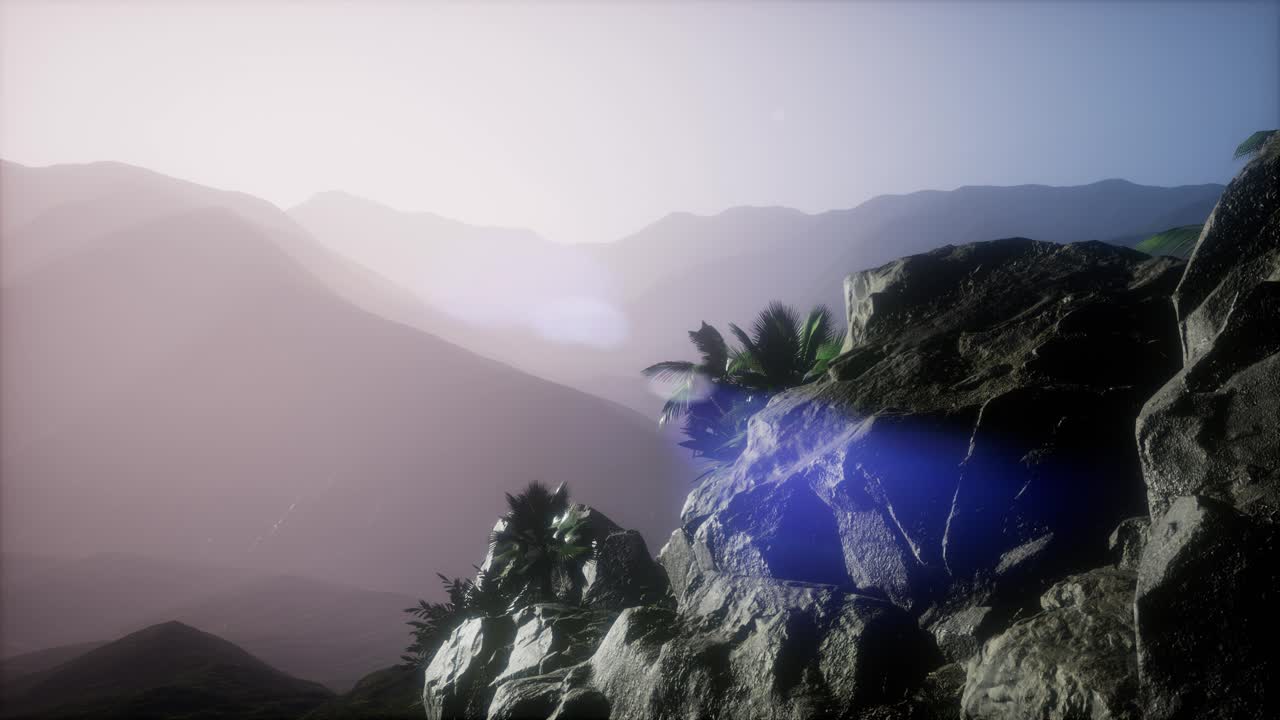 Sunset Beams through Palm Trees