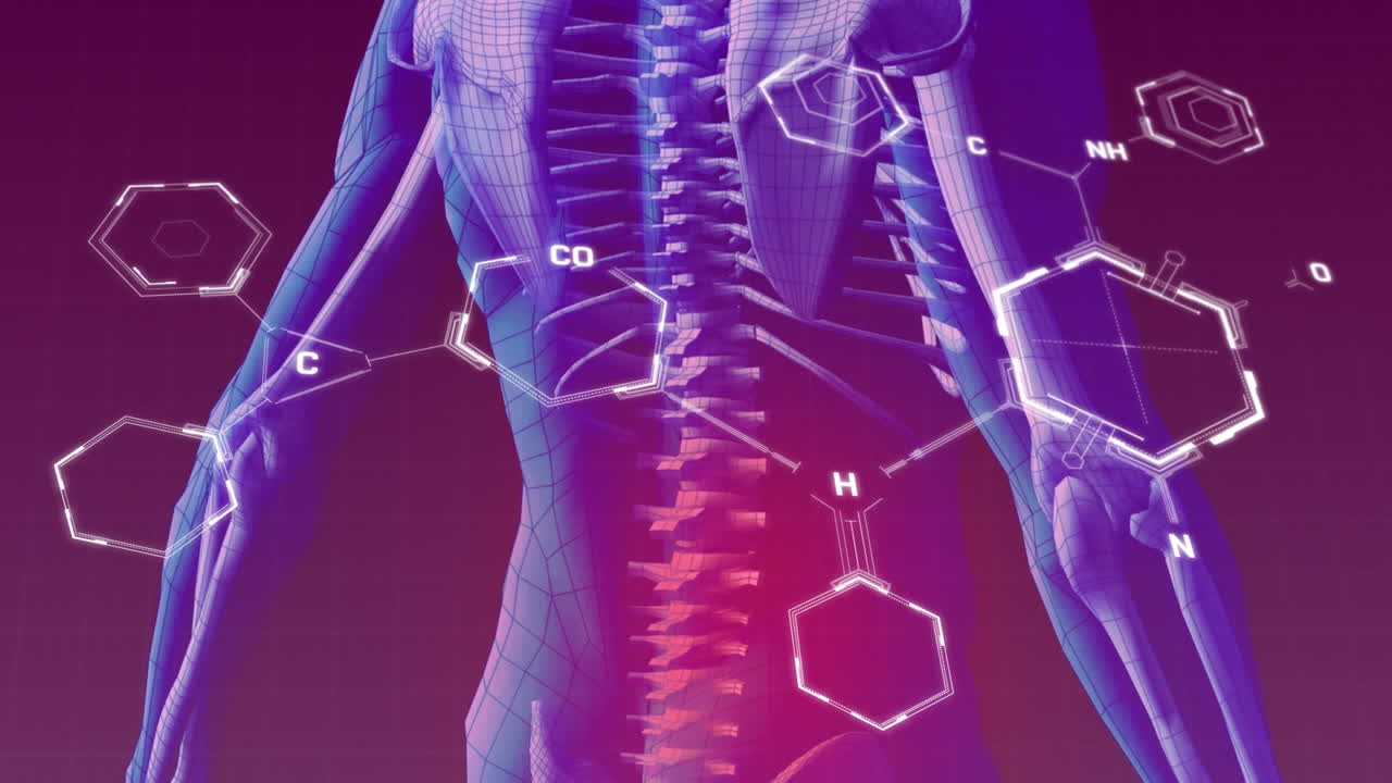 보라색 배경에 있는 인체 모델 위의 화학 공식의 애니메이션