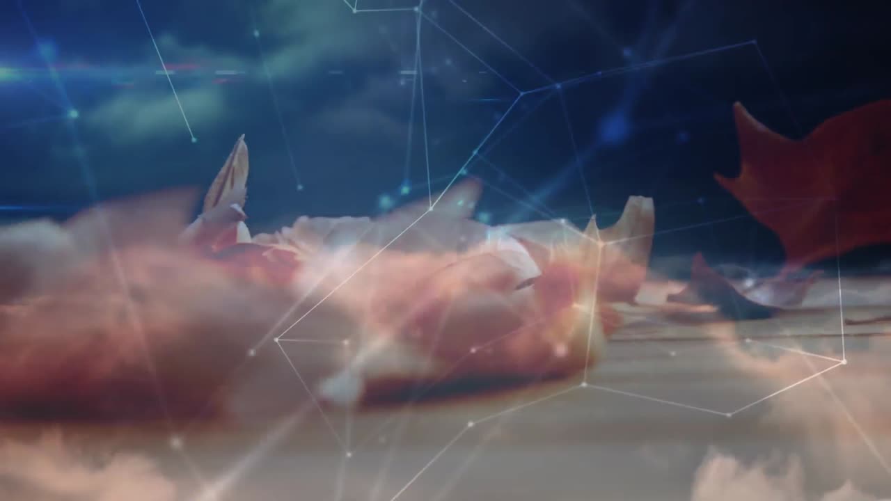 animación de redes de conexiones sobre hojas