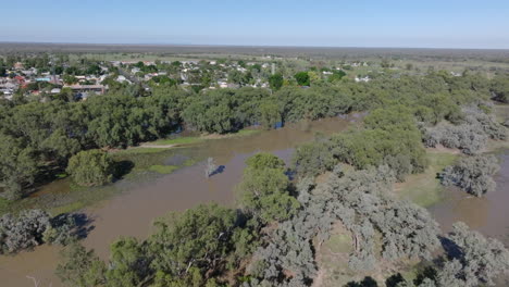 aerial: drone flying over flooded bushland in bourke after darling river burst it's banks, nsw, australia
