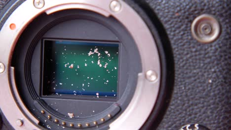 dirty camera sensor with dust