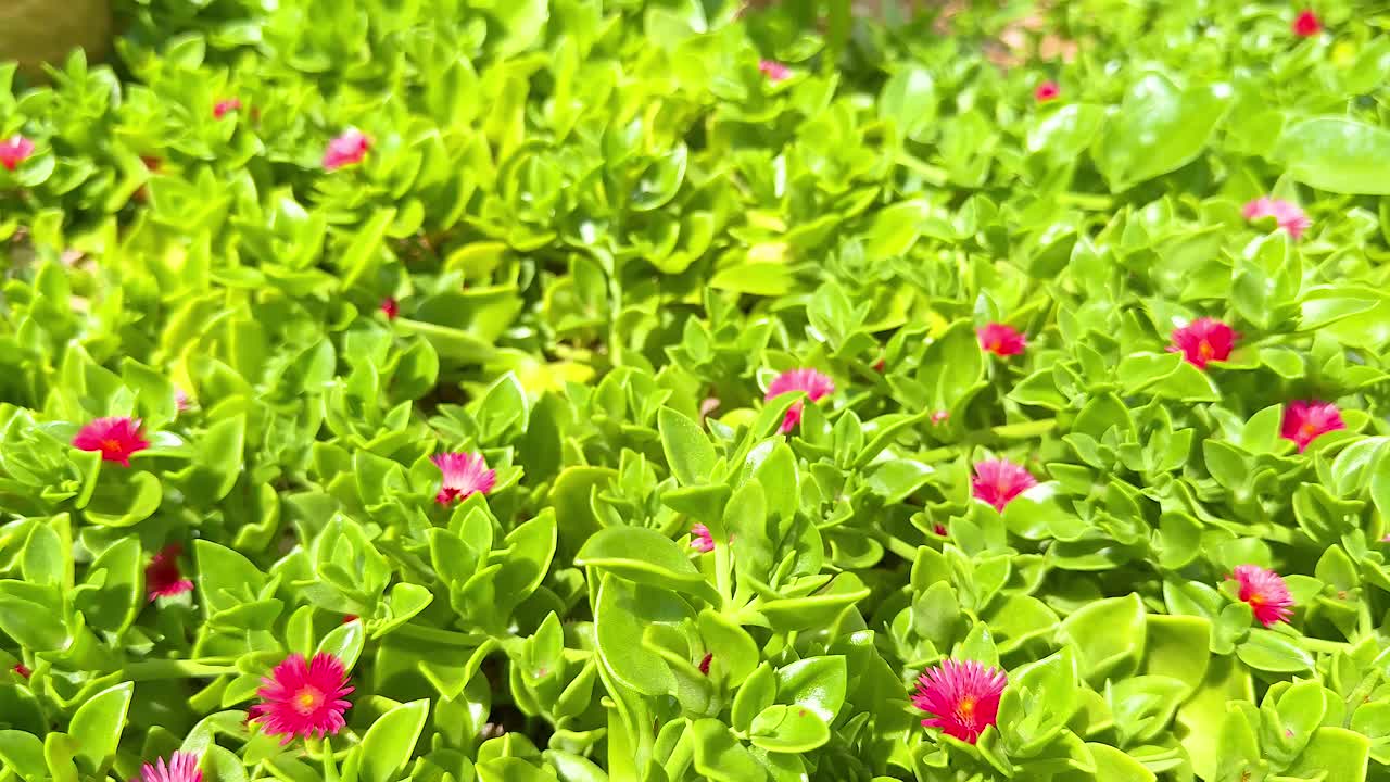 초록색 과 꽃 이 있는 활기찬 정원 장면