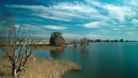toma aérea que pasa entre árboles, revelando el borde de una planicie de pradera a través de un lago tranquilo