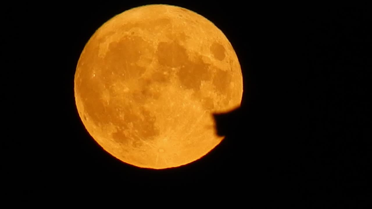lleno naranja cosecha brillante luna cráter superficie primer plano pasando azotea silueta horizonte