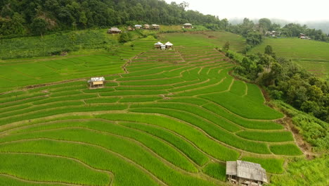 rice field terrace on mountain agriculture land.