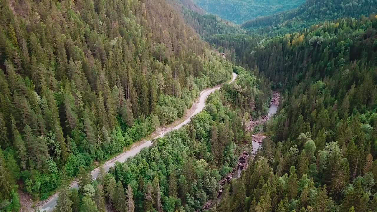 incline hacia arriba para revelar una toma aérea en un bosque sobre un río al lado de un camino sinuoso
