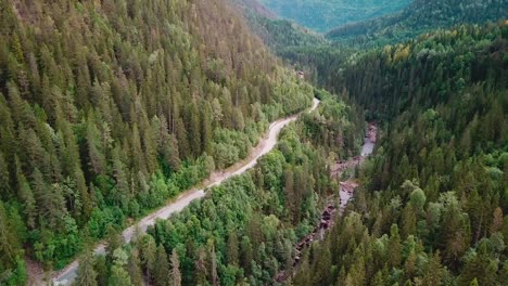 tilt up reveal aerial shot in a forest over a river next to a winding road