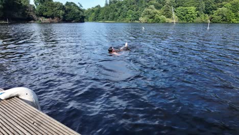 young man dives from wooden jetty into clear lake water