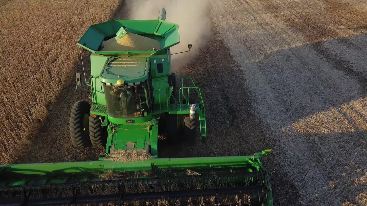 un agricultor del medio oeste cosechando un campo de soja con una cosechadora, un tractor y un vagón de barrena