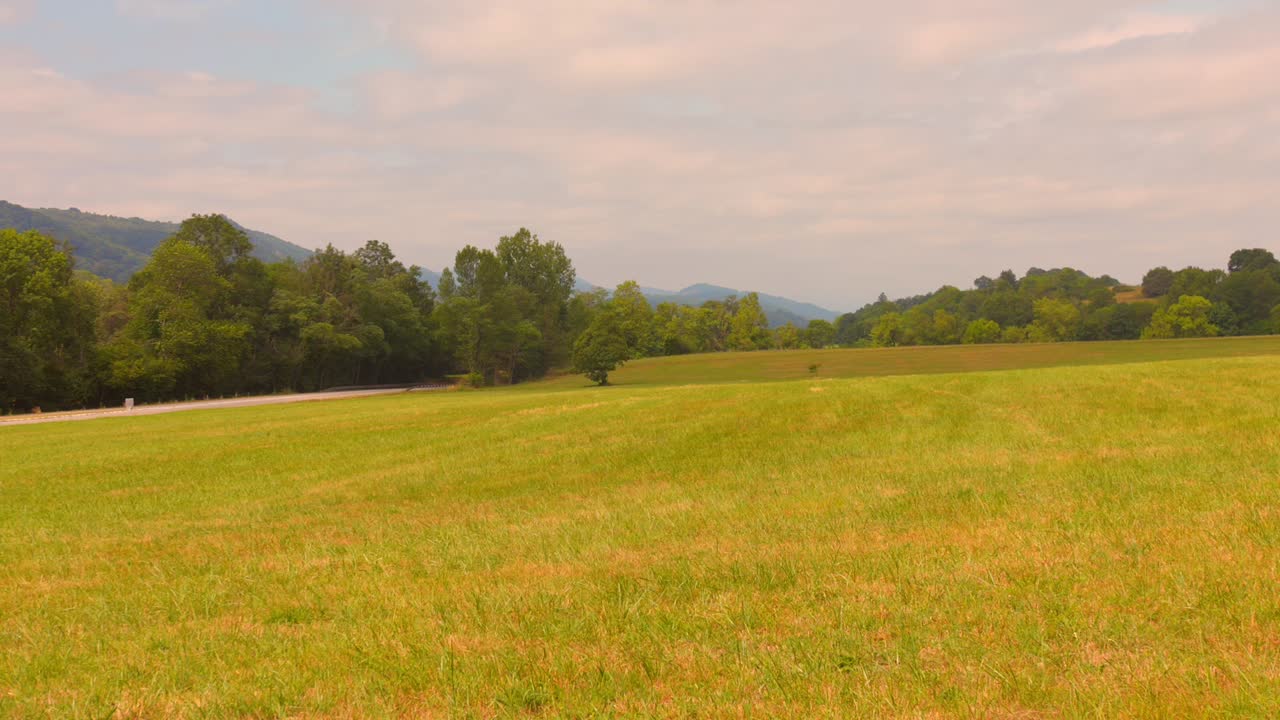 Picturesque Landscape Of Grassland With Forest In The Background. - wide shot