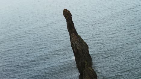 drone orbits around sea stack, ilhéus da ribeira da janela, emerging from atlantic ocean, madeira, portugal, coastal landmark. aerial