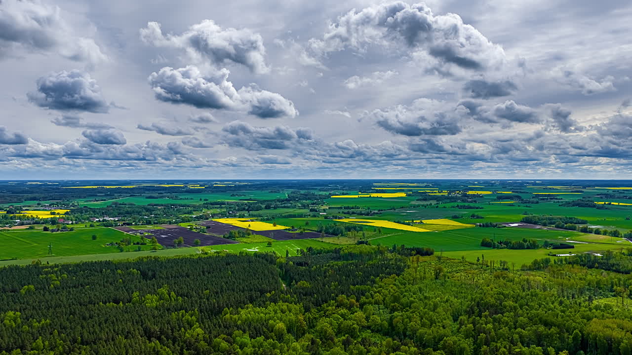 Aerial timelapse of canola fields and forests under dramatic cloudy sky