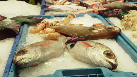 pescado fresco en exhibición en un mercado